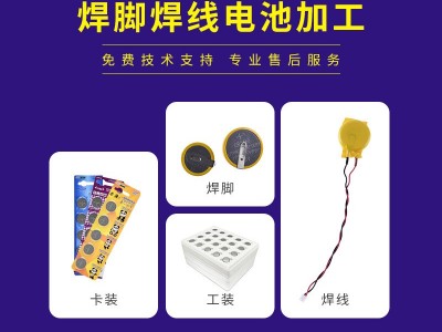 CR2450HT寬溫電池 寬溫紐扣電池